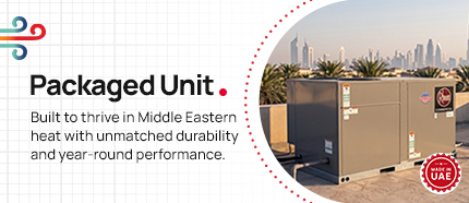 Rheem Century Comfort