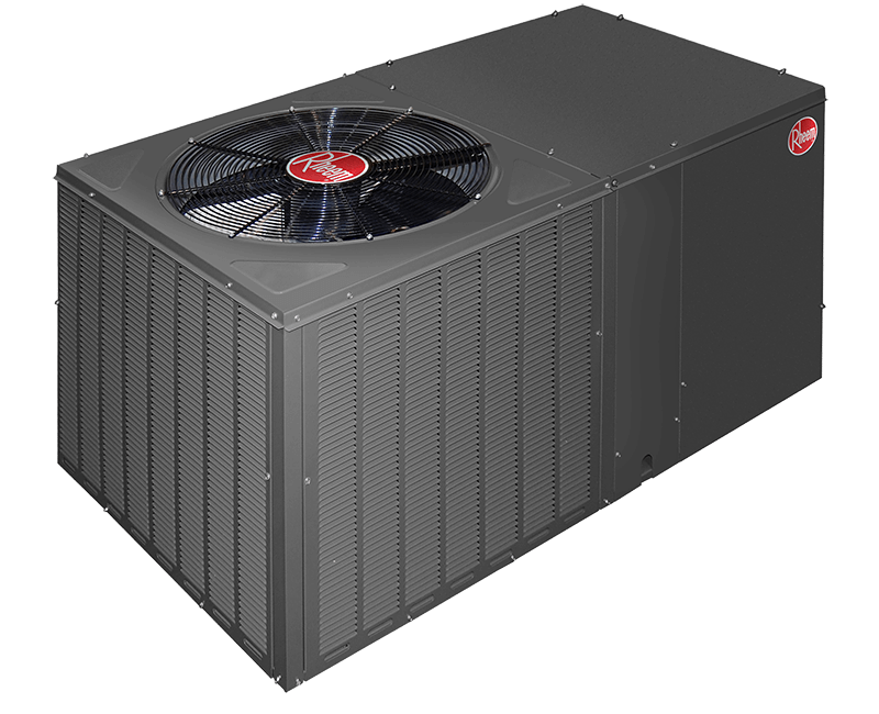 Renaissance Xcede (50Hz)